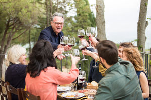 Family eating alfresco, clinking glasses