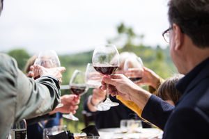 Close-up clinking glasses