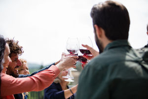 Friends clinking glasses